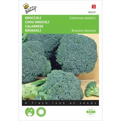 Broccoli Calabrese natalino, groen