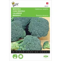 Broccoli Calabrese natalino, groen Broccoli Calabrese natalino, groen