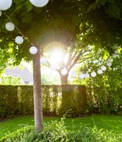 Cotton Ball Lights buiten feestverlichting wit - 20 ballen - Blanco - thumbnail