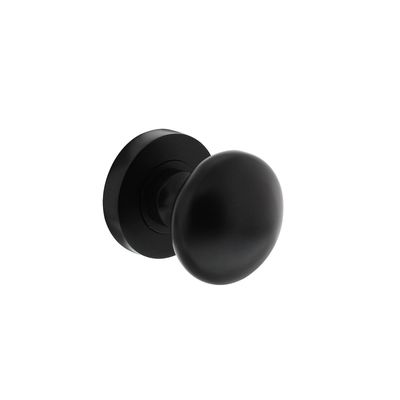 Intersteel Deurknop op rozet met wisselstift
