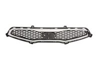 Radiateurgrille 6502073266990P