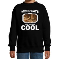 Dieren stokstaartje sweater zwart kinderen - meerkats are cool trui jongens en meisjes - thumbnail