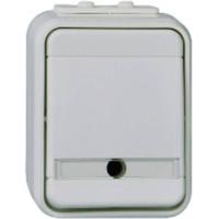 ELSO universele schakelaar 441629 10A AquaTop licht/basisgrijs 1 stuk(s)