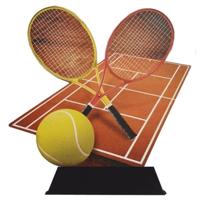Sportprijzen Leiden Houten Trofee Tennissen
