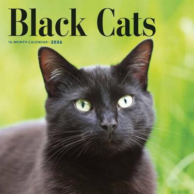 Zwarte Katten Kalender 2026