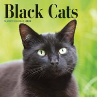 Zwarte Katten Kalender 2026