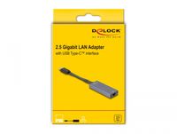 DeLOCK 66248 tussenstuk voor kabels RJ-45 USB C Grijs - thumbnail