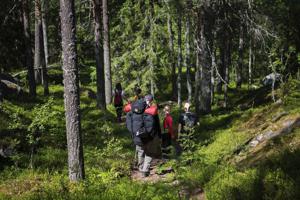 Bushcraft week Cursus Zweden 22 juli - 28 juli 2024