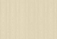 Dutch FC New Tekko schors beige - 20036