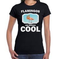 Dieren flamingo t-shirt zwart dames - flamingos are cool shirt