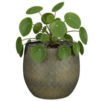 Mica decorations Bloempot / plantenpot Madeira - groen - terracotta - 14 cm - schubbenpatroon
