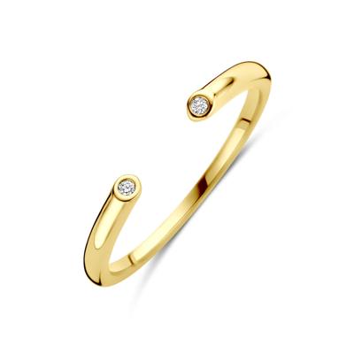 14k Geelgouden Ring met Diamant 0.01ct