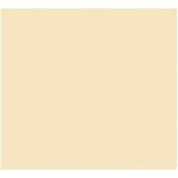 Fiches Iris Beige 50 x 65 cm