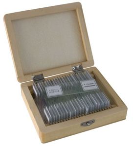 Bresser Microscoop preparaten 25 stuks : Biologie