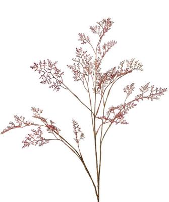 Limoniumtak Zeelavendel Earthy garden 3x vertakt 57 bladtoeven 100 cm - Top art