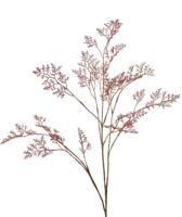 Limoniumtak Zeelavendel Earthy garden 3x vertakt 57 bladtoeven 100 cm - Top art