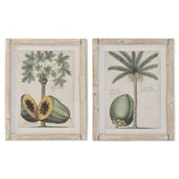Schilderij Home ESPRIT Kristal Spar 40 x 3,5 x 50 cm (2 Stuks)