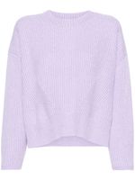 Allude pull en maille nervurée à col rond - Violet