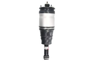 Pneumatische veerpoot APL015MT