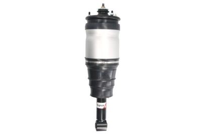 Pneumatische veerpoot APL015MT