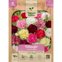 Tuinanjer grenadin mengsel 50st