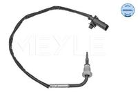 Sensor, uitlaatgastemperatuur 1148000220