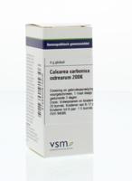 VSM Calcarea carbonica ostrearum 200K 4 Gram