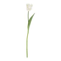 Papegaai Tulp RT Kunstbloem 60cm Creme