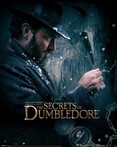 Fantastic Beasts The Secrets of Dumbledore Poster 40x50cm