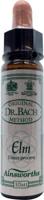 Ainsworths Elm Bach 10 Milliliter