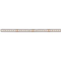 Paulmann MaxLED 1000 Erweiterung 71245 LED-strip Met connector (male) 24 V/DC 1 m Warmwit 1 stuk(s)