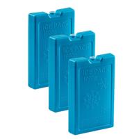 Koelelementen van 1000 gram - 6x stuks - blauw - 22 x 14.5 x 3.5 cm - voor koeltas en koelbox
