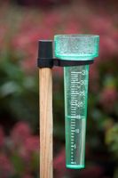Regenmeter excl. stok 35 ml 24,5x8cm - Nature - thumbnail