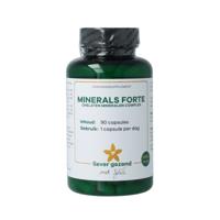 Liever Gezond Minerals chelaten mineralen complex 90 Vegetarische capsules