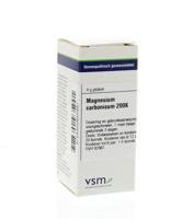 VSM Magnesium carbonicum 200K 4 Gram