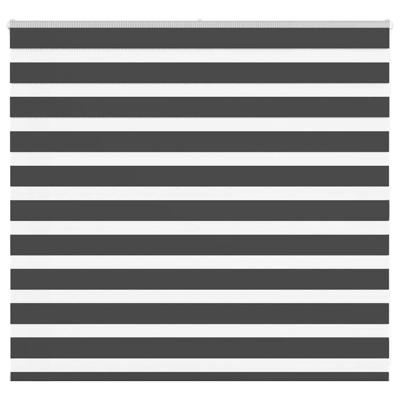 VidaXL Zebra rolgordijn 165x100 cm stofbreedte 160,9 cm zwart