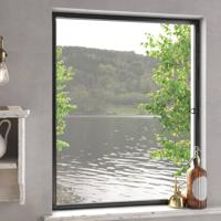 VidaXL Raamhor 100x120 cm antracietkleurig