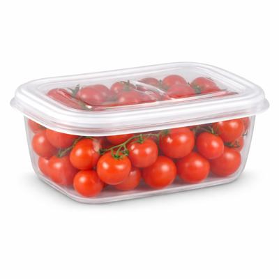 Plasticforte Vershoudbakje vriezer en magnetron - 500 ML - kunststof