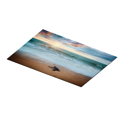Schildpadden placemats Zonsondergang met schildpadden