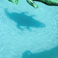 The Official Body - CD (0600116514721) - thumbnail