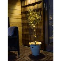 Konstsmide 3811-800 Micro-lichtketting Buiten Energielabel: G (A - G) werkt op het lichtnet Aantal lampen 40 LED Barnsteen Verlichte lengte: 12.64 m