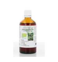 Juniperus communis fruct / jeneverbes tinctuur bio