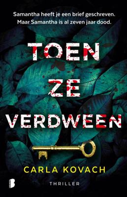 Toen ze verdween (Paperback)