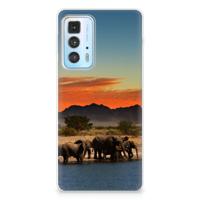 Motorola Edge 20 Pro | TPU Hoesje | Olifanten