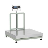 Platformweegschaal - 800 kg / 0,1 kg - 100 x 100 cm - LCD met labelprinter