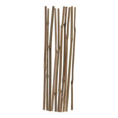 Gerimport Plantenstokken - 10x stuks - 30 cm - plantensteun / tonkinstokken