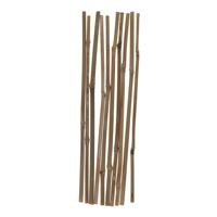 Gerimport Plantenstokken - 10x stuks - 30 cm - plantensteun / tonkinstokken