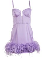 Fleur Du Mal robe bustier à ornements de plumes - Violet