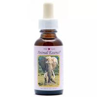 Animal Essences Elephant (olifant) 30 Milliliter