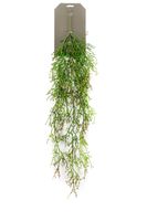Hangplant op steker 10 - Driesprong Collection